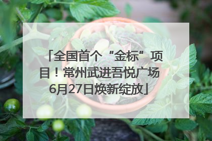 全国首个“金标”项目！常州武进吾悦广场6月27日焕新绽放